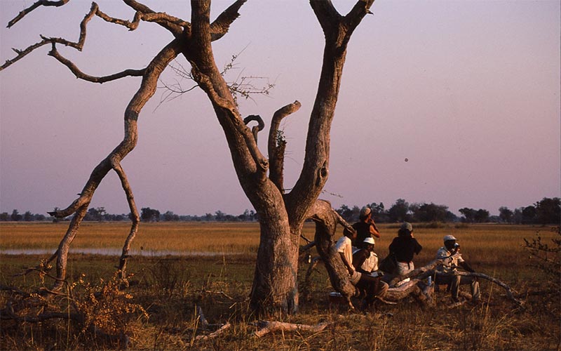 Okavango Origins - people sitting on the Okavango delta by a tree