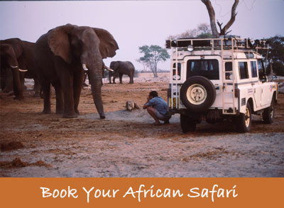 Book Your Safari with Peter Comley